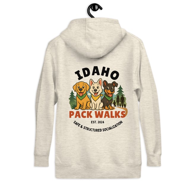 Front and Back Logo Hoodie